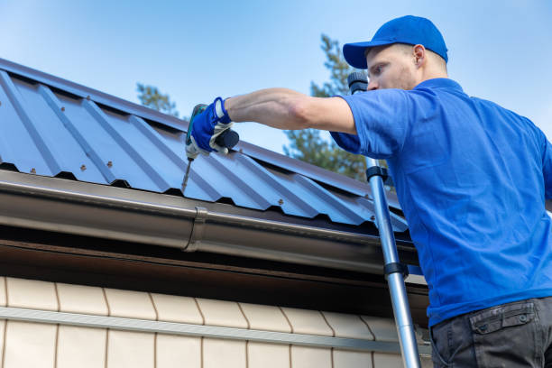 Best Skylights  in Forsyth, IL