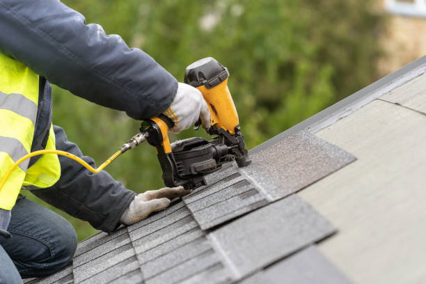 Best Roof Moss and Algae Removal  in Forsyth, IL