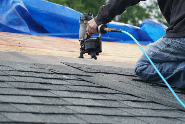 Best Roof Ventilation Installation  in Forsyth, IL