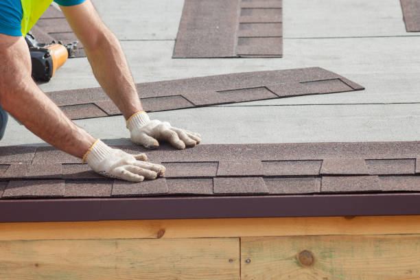 Best Roof Moss and Algae Removal  in Forsyth, IL