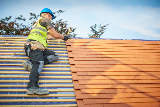Best Rubber Roofing (EPDM, TPO)  in Forsyth, IL